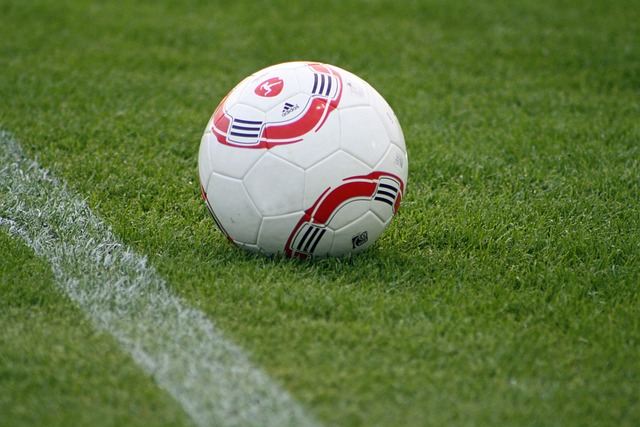 浙江队的主 浙江队的主