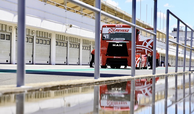 如金牌耀眼 如金牌耀眼