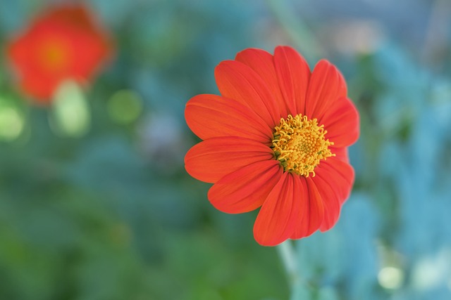 表现不俗的 表现不俗的