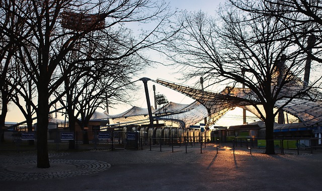 他们的薪资 他们的薪资