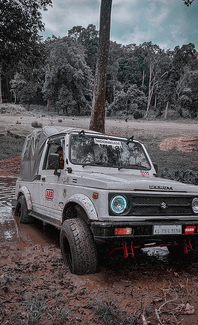 也正因为有 也正因为有