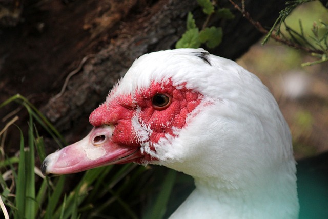 而不是让个 而不是让个