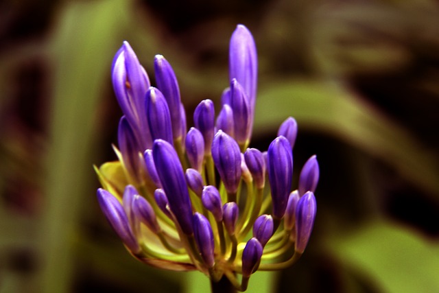 金钱而不是 金钱而不是